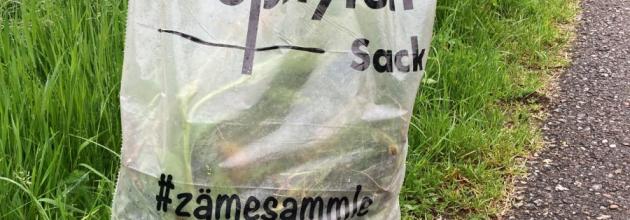 Neophytensack Aargau