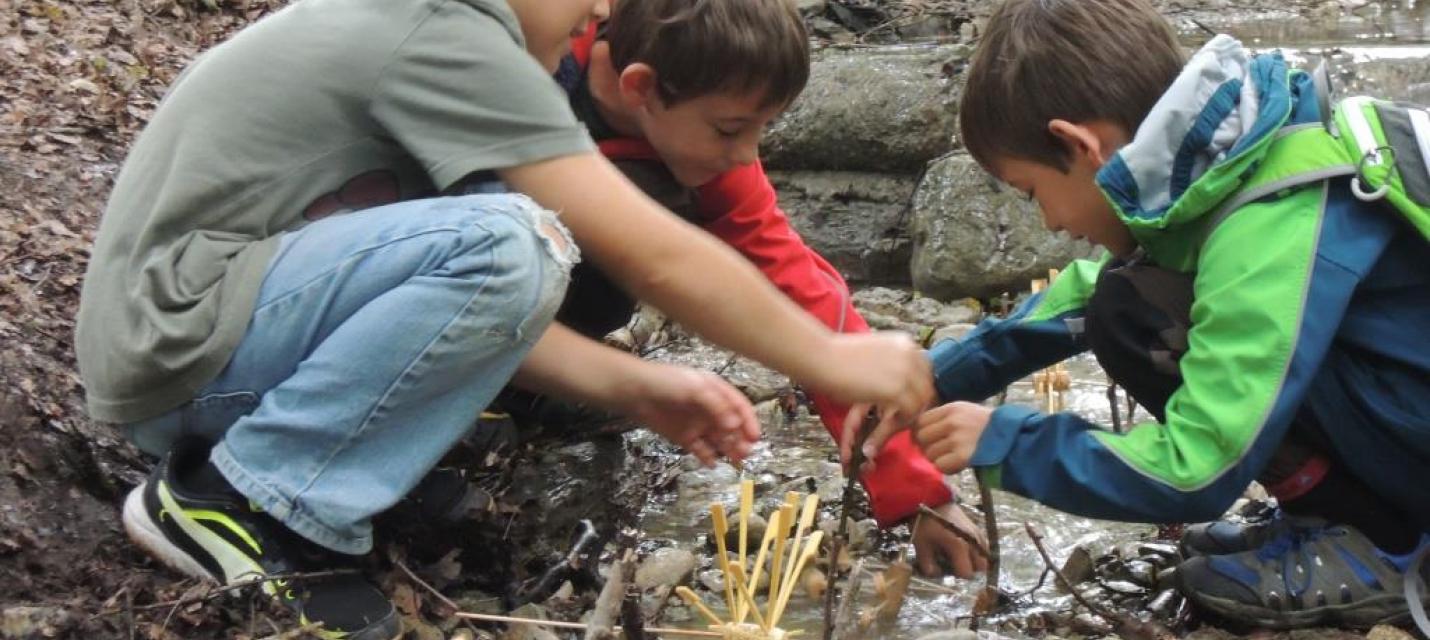 Jupla Beinwil am See