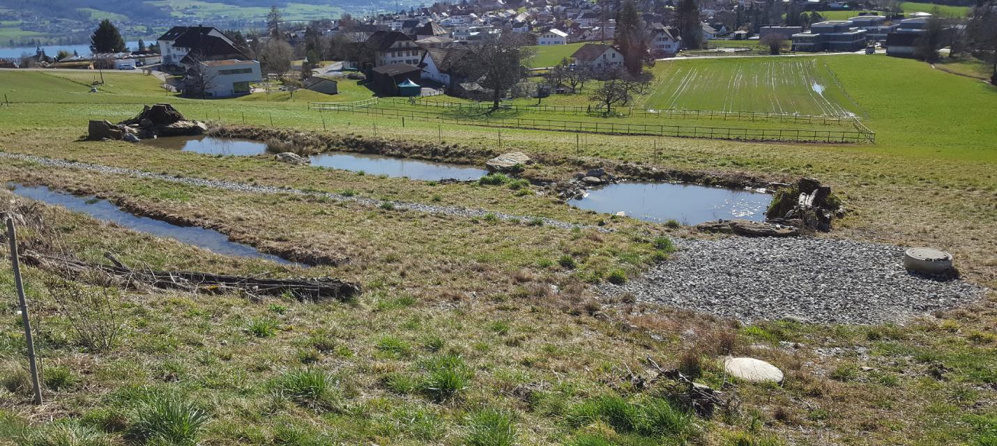 Kroetenteich Kugelfang