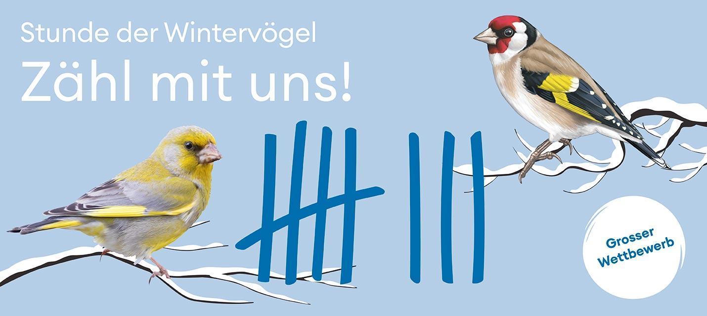 Stunde der Wintervögel