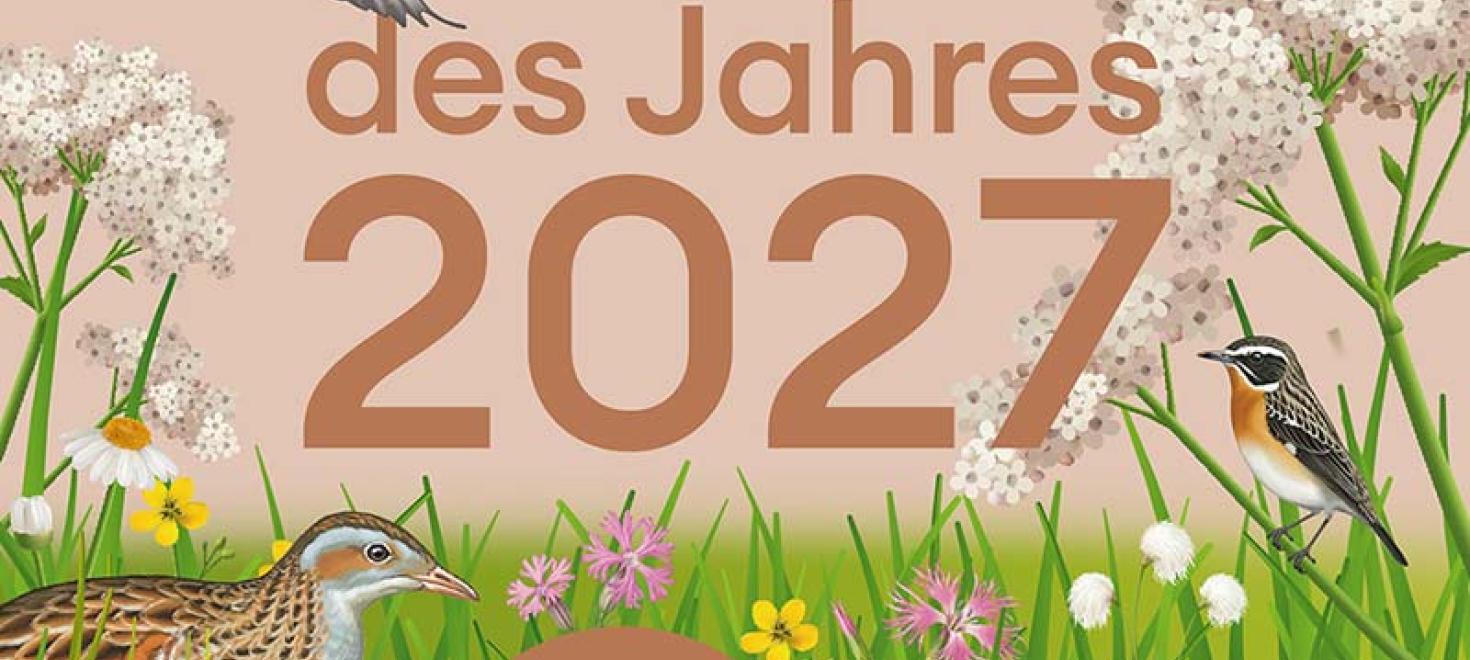 Vogel des Jahres 2027